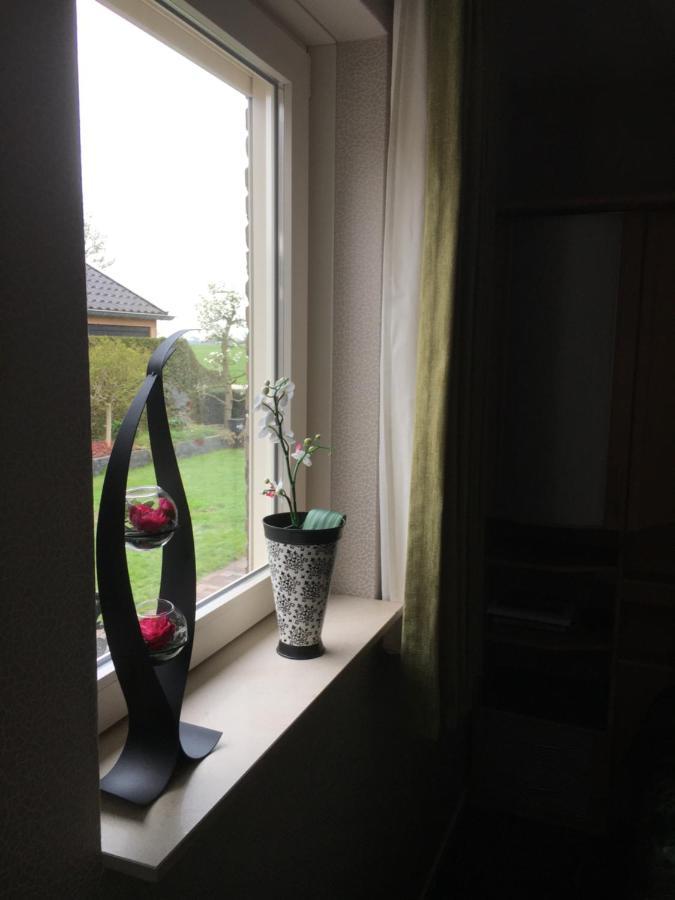 Beukenlaan Panzió Rouveen Kültér fotó